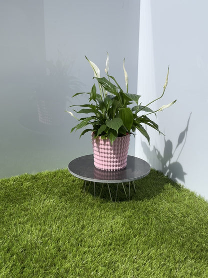 Pina Planter